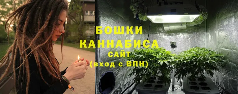 МАРИХУАНА White Widow  Электросталь 